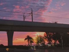 -宝安西湾红树林湿地公园