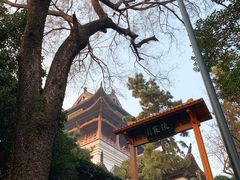 -黄鹤楼公园(黄鹤楼)