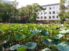 -四川大学(望江校区)