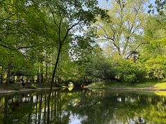 -上海共青森林公园