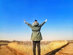 -天津东丽湖风景区