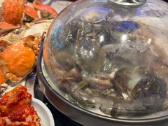 -半岛听涛蒸汽海鲜自助(K11店)