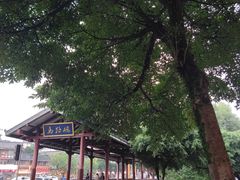 -荣生萝卜汤饭店