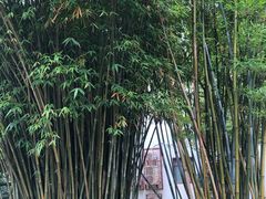 -堤角公园