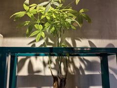 -陶老爷城一锅羊蝎子(西四路店)