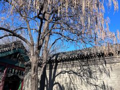 -张学良旧居陈列馆
