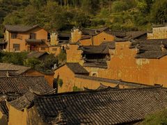 -杨家堂村
