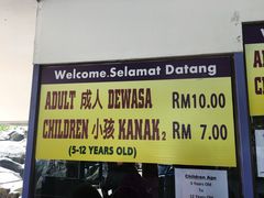 -金马仑薰衣草花园(Cameron Lavender)