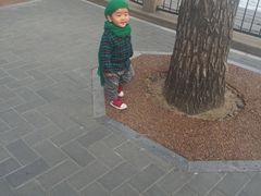-芦月轩羊蝎子(太平桥店)