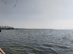 -滇池海埂公园