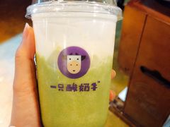 -一只酸奶牛(八一路店)