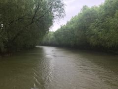-大湾区中央湿地公园