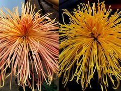 -共青国家森林公园-售票处