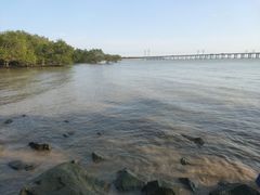 -宝安西湾红树林湿地公园