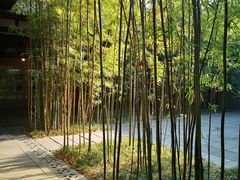 -望江楼公园