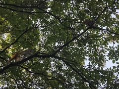 -黔灵山公园