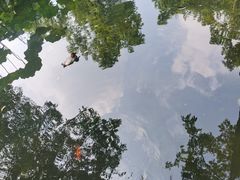 -拙政园