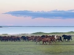 -呼和诺尔旅游景区