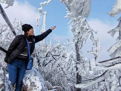 -紫金山山顶公园