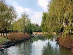 -上海滨江森林公园