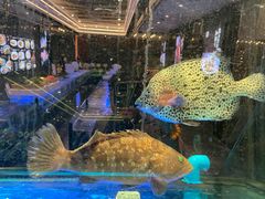 -稻香海鲜饭店(第一国际店)