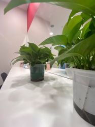 -晶奕空间专业脱毛连锁机构