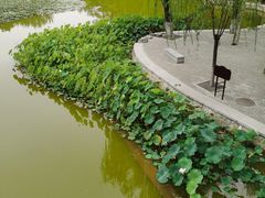 -西安市长乐公园