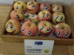 -北京东直门智选假日酒店