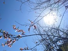 -北京西山国家森林公园