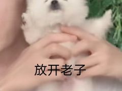 -长藤鬼校(千禧店)