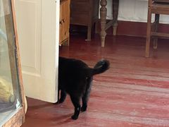 -春风十里咖啡馆