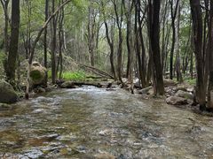 -玉渡山自然风景区