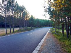 -塞罕坝国家级自然保护区