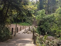 -峨眉山报国寺