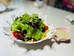-森林象亲子餐厅·儿童生日会