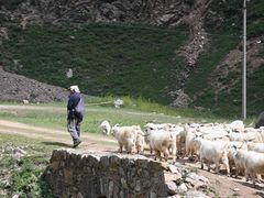 -芦芽山旅游度假区