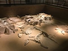 -洛阳周王城天子驾六博物馆