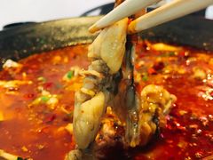 沸腾酸汤蛙-靓蛙馆