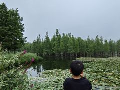 -白鹭湾湿地公园