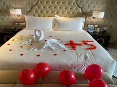 -上海闵行星河湾酒店