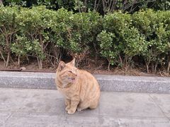 -龍歌自助小火锅(城阳万象汇店)