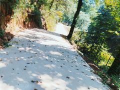 -素山寺森林公园