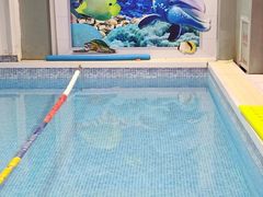 -小蓝鲸游泳培训基地(积水潭店)