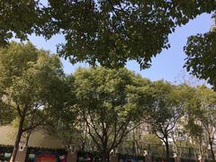 -莘城学校羽毛球馆