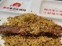 -邢氏老太太烤串(北兴街店)