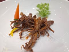 -丁老爷子苏香圆