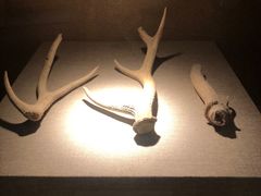 -南越王博物院(王宫展区)
