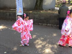 -东京浅草和服体验江户和装工房雅(浅草本店)
