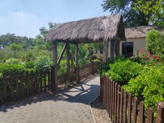 -盐城丹顶鹤湿地生态旅游区