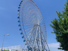 -大阪海游馆
